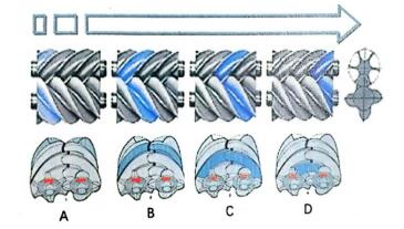 螺桿空壓機工作原理